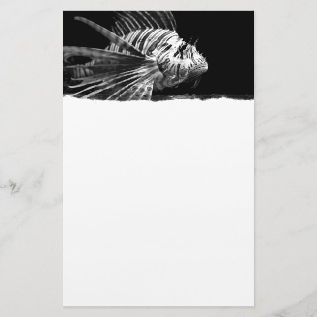 Papelería Bella leona blanca y negra (Anverso)