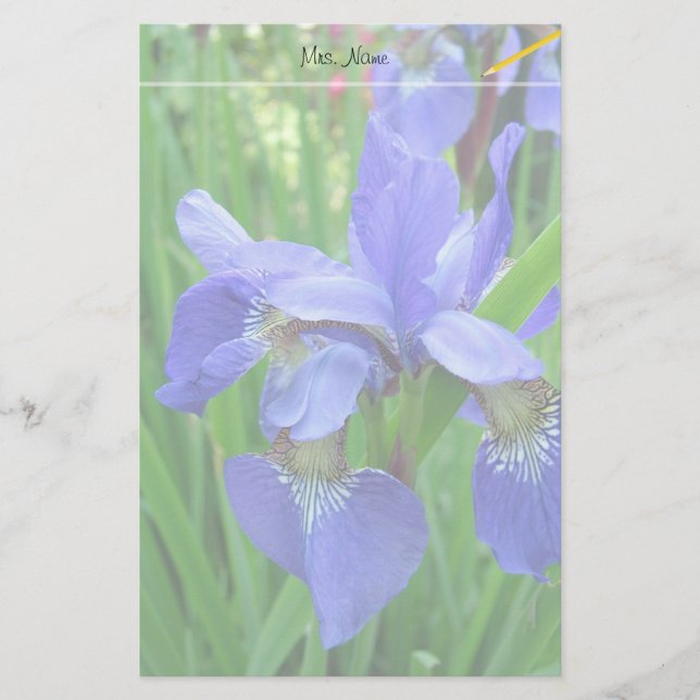 Papelería bellas flores azules de iris (Anverso)