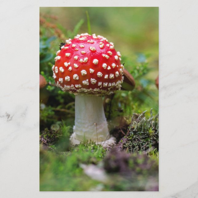 Papelería Belleza de otoño (Anverso)