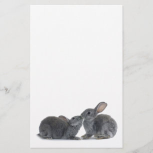 Papelería Beso del conejo