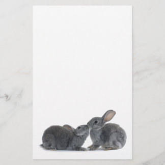 Papelería Beso del conejo
