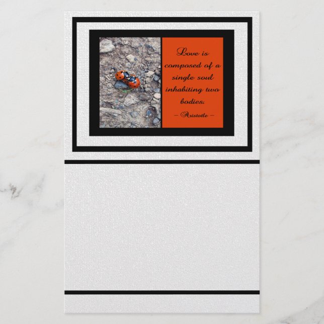 Papelería Besos de la mariquita (Anverso)