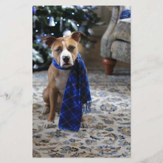 Papelería Bienvenida navideña del perro de rescate de Pit Bu (Anverso)