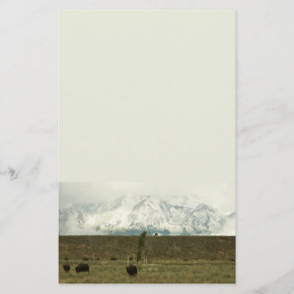 Papelería Bison en la fotografía del parque nacional del Gra