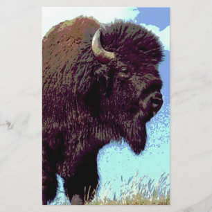 Papelería Bison Pop Art