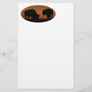 Papelería bisonte
