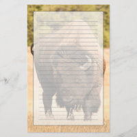 Bisonte