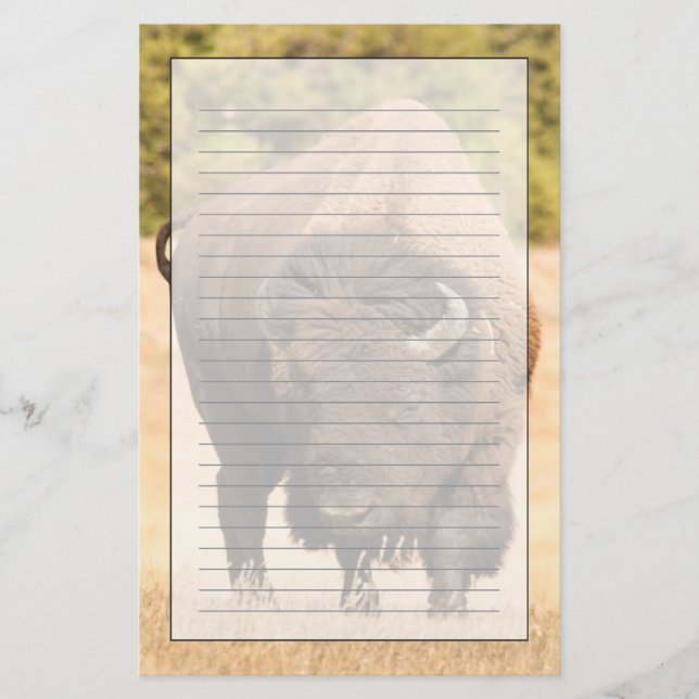 Papelería Bisonte (Anverso)