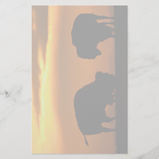 Papelería bisonte (Anverso)