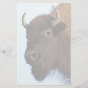 Papelería bisonte