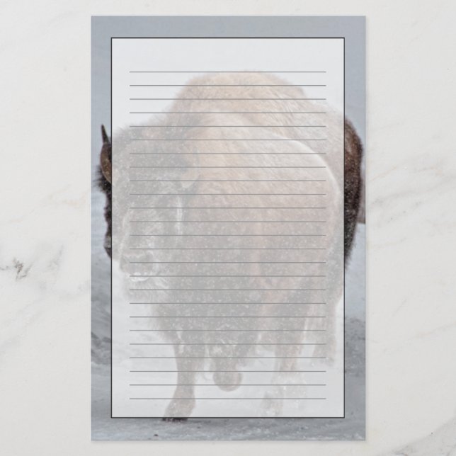 Papelería Bisonte de Yellowstone (Anverso)