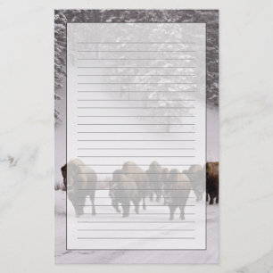 Papelería Bisonte en invierno