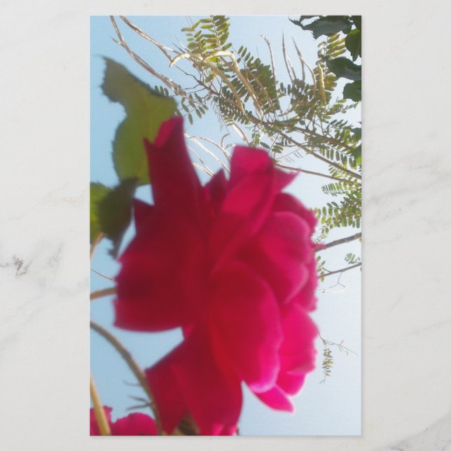 Papelería Bloom celestial: Un Rosa contra el cielo (Anverso)