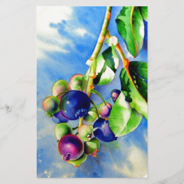 Papelería Blueberries (Anverso)