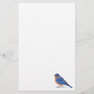 Papelería Bluebird