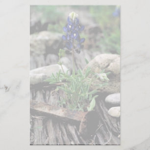 Papelería Bluebonnet de Tejas