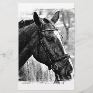 Papelería Boceto de caballo blanco negro