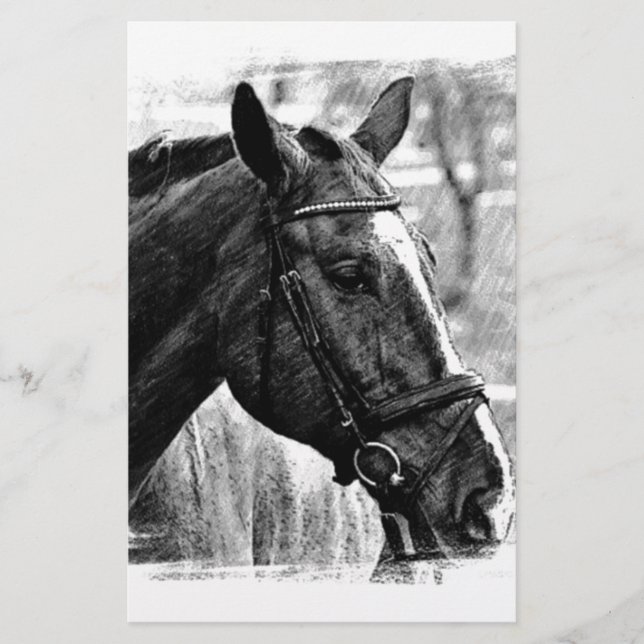 Papelería Boceto de caballo blanco negro (Anverso)
