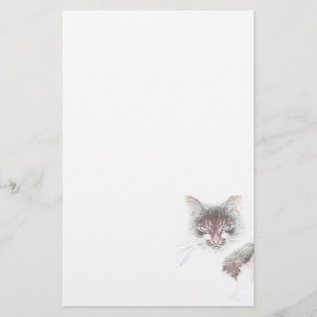 Papelería Boceto de cara de gato lindo y enojado (Anverso)
