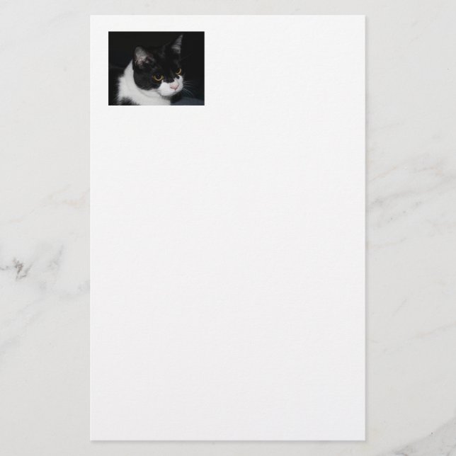 Papelería Bonito Kitty Stationery (Anverso)