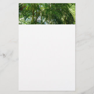 Papelería Bosque de palmeras Naturaleza tropical