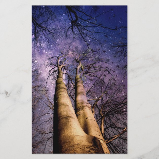 Papelería Bosque encantado (Anverso)