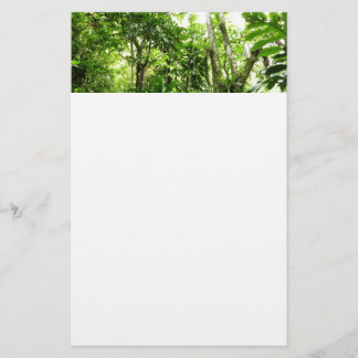 Papelería Bosque lluvioso dominicano I Naturaleza tropical v