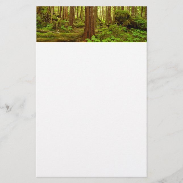 Papelería Bosque Lluvioso Templado de Alaska (Anverso)