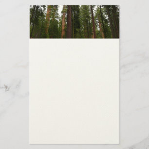 Papelería Bosque Mariposa en el Parque Nacional Yosemite