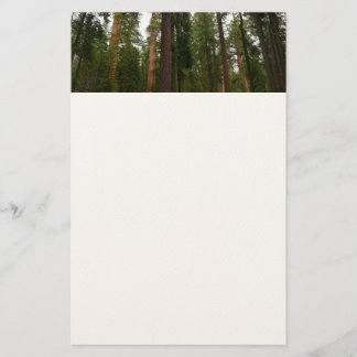 Papelería Bosque Mariposa en el Parque Nacional Yosemite