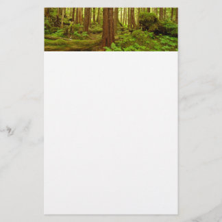 Papelería Bosque tropical templado de Alaska