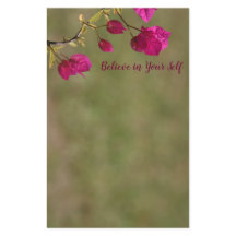 Bougainvillea rosa Motivadora