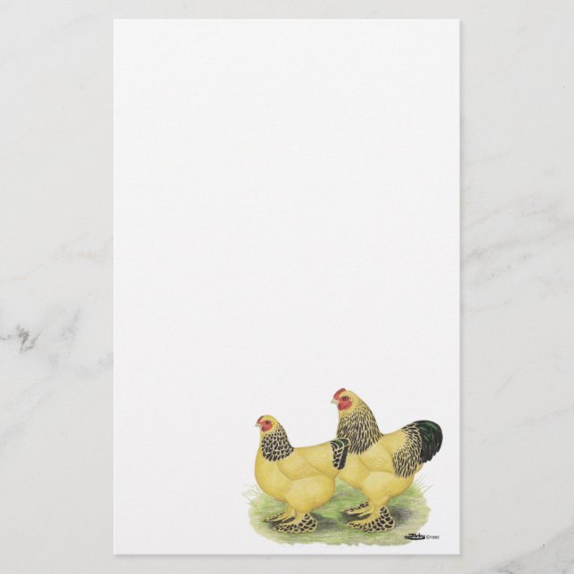 Papelería Brahma Buff Pair (Anverso)