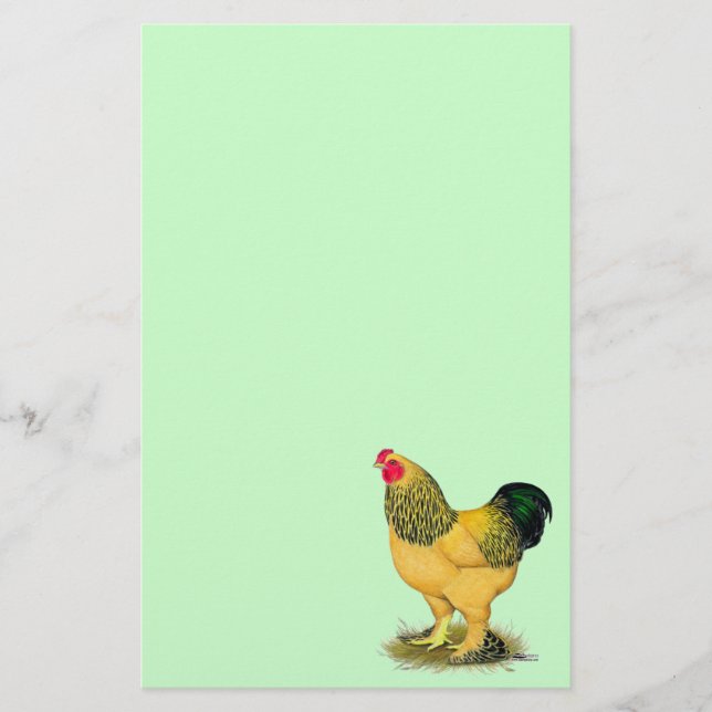 Papelería Brahma: Rooster de Buff (Anverso)