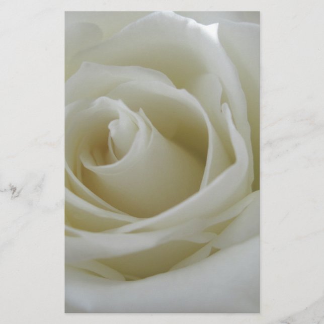 Papelería Brillo floral (Anverso)