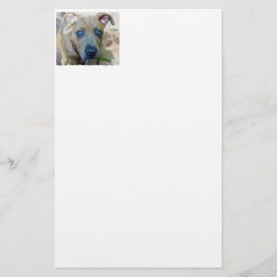 Papelería Brindle Pit Bull con una foto de Shirley Taylor