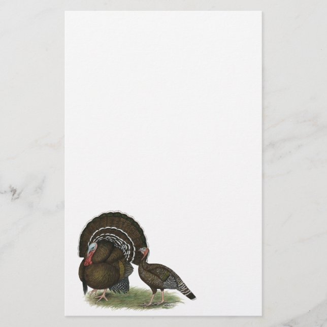 Papelería Bronce estándar de Turquía (Anverso)