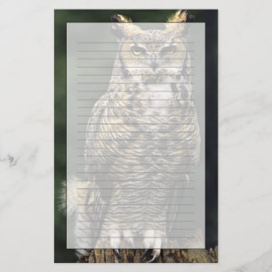 Papelería Búho Americano (Bubo virginianus), cuerpo completo
