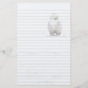 Papelería Búho animal Nevado del pájaro que me mira