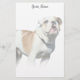 Papelería Bulldog estacionario