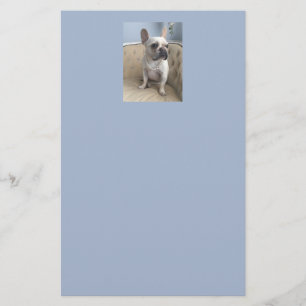 Papelería Bulldog francés