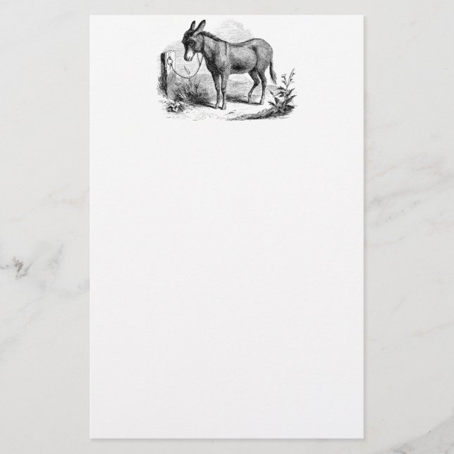 Papelería Burros retros personalizados burro nacional del (Anverso)