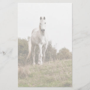 Papelería Caballo blanco