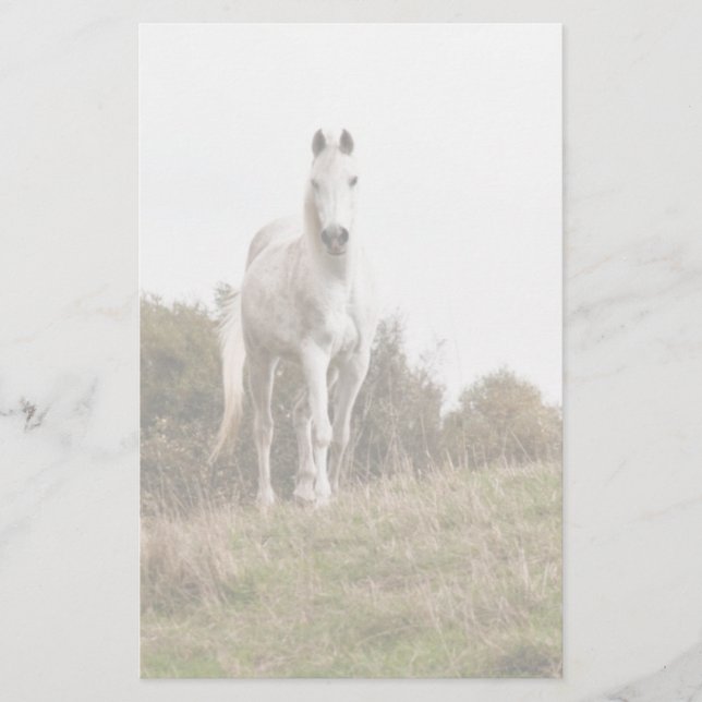 Papelería Caballo blanco (Anverso)