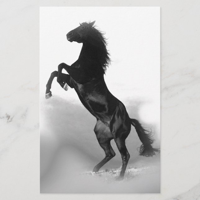 Papelería Caballo blanco negro (Anverso)