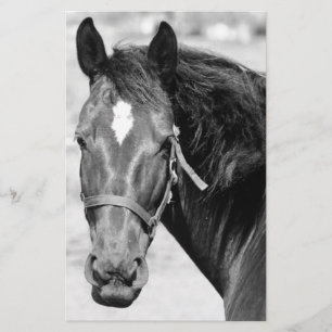 Papelería Caballo blanco negro