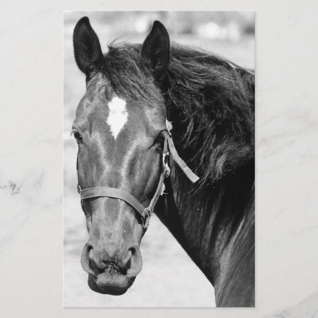 Papelería Caballo Blanco Negro (Anverso)