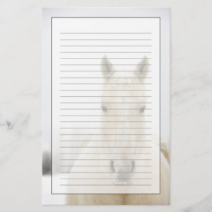 Papelería Caballo con nieve en la cabeza