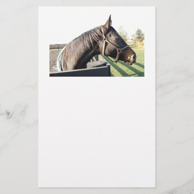 Papelería Caballo de granja (Anverso)