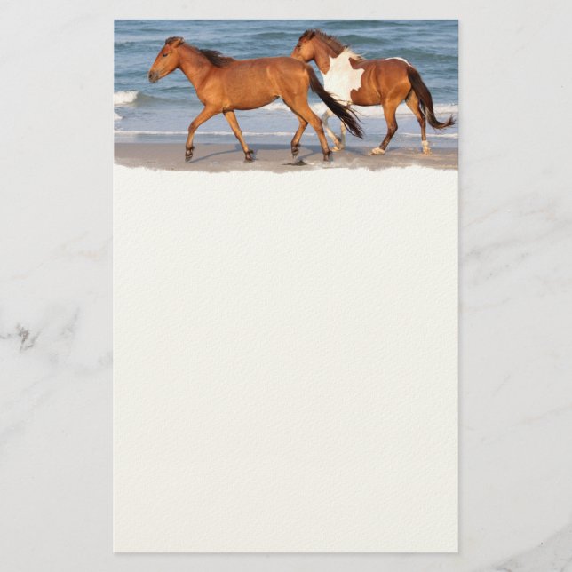 Papelería Caballo de playa Sunset (Anverso)